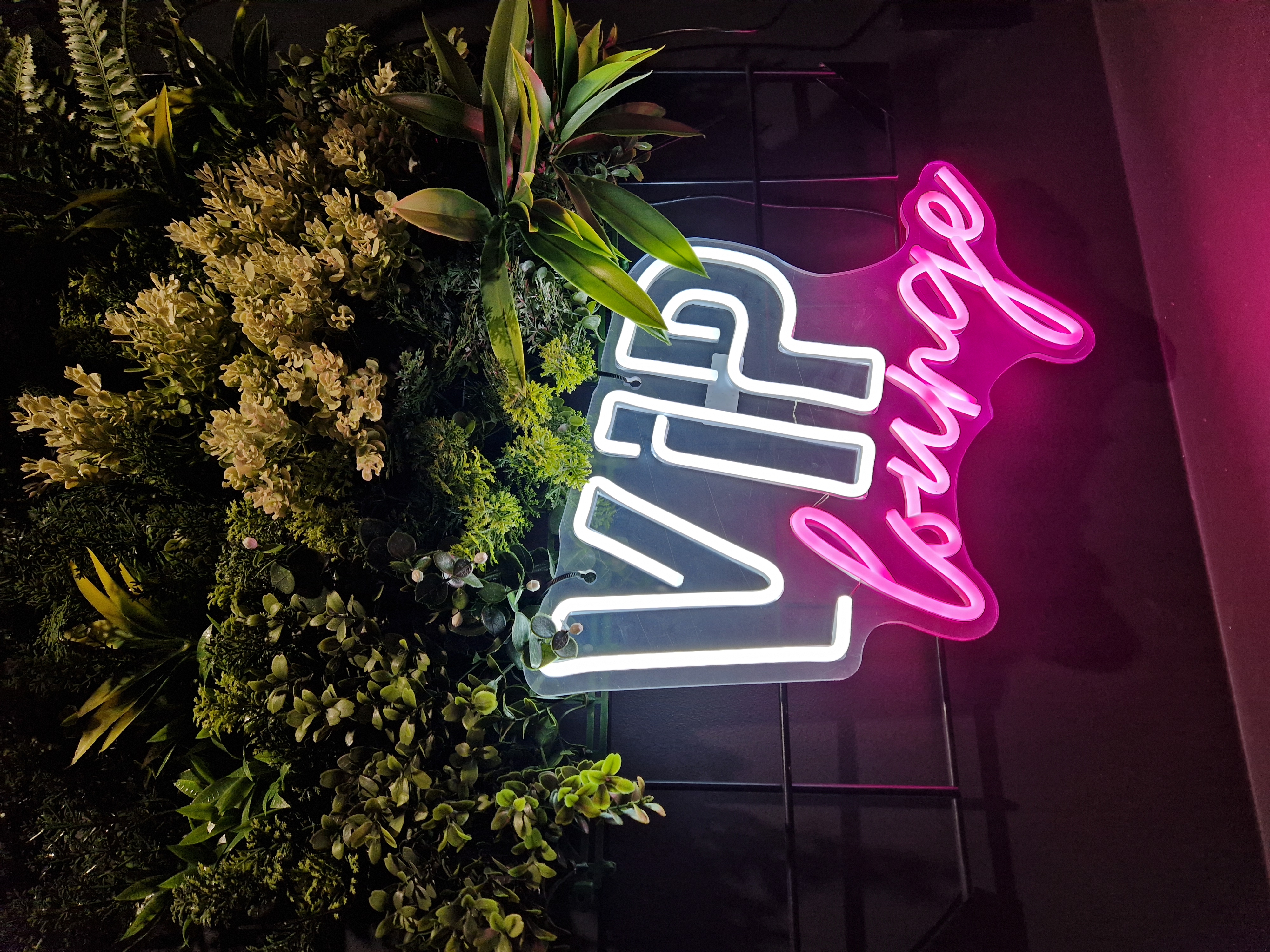 Galeria Słoneczna 12